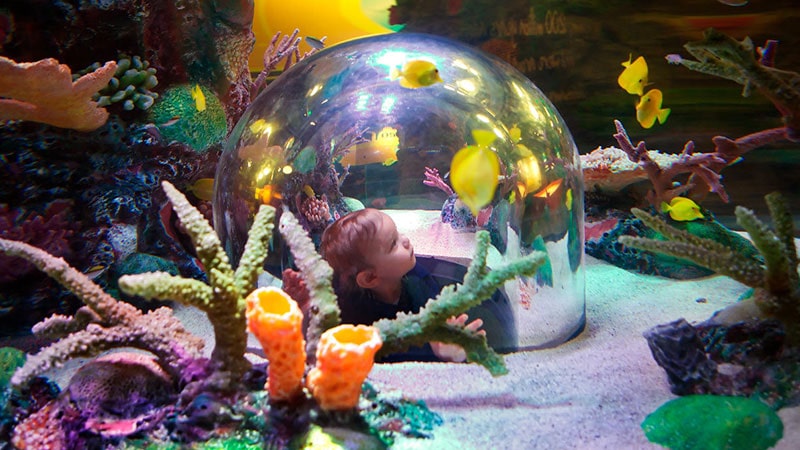 Sea life aquarium Istanbul entertainment for children