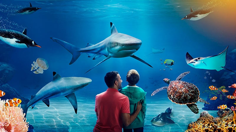 Sea life aquarium Istanbul entertainment for children