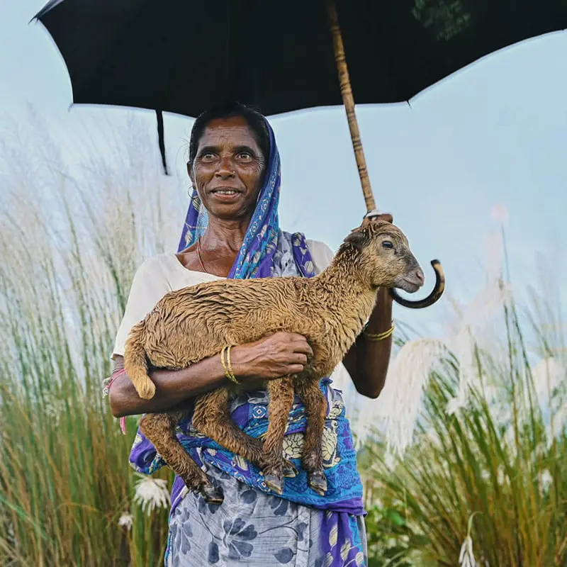 Indian woman with a lamb in her arms