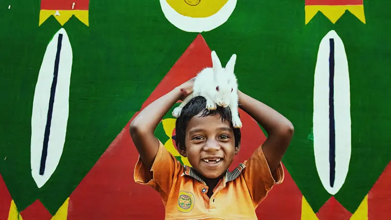 The Indian boy and his rabbit
