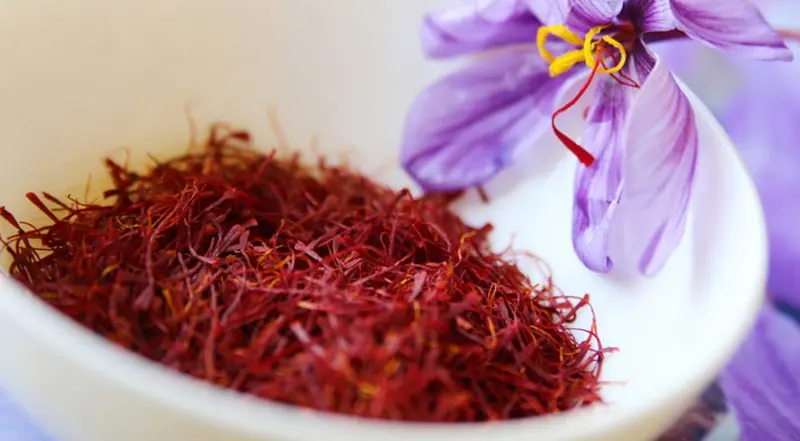 saffron flower
