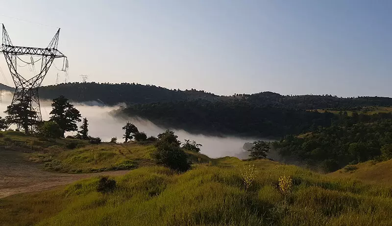 Abar Shahrood forest