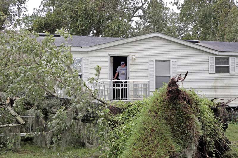 Fallen trees in Hurricane Milton; Photo source: npr.org website; Photographer: Gregg Newton