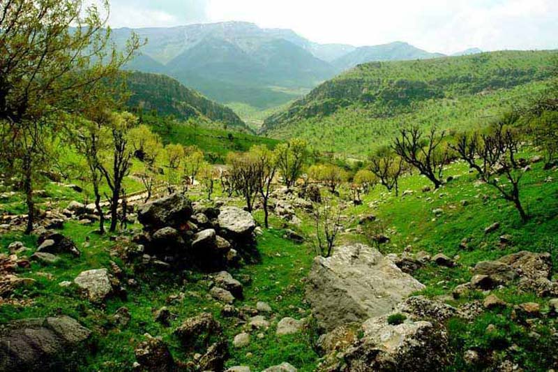 The beautiful nature of Dena protected area on Semiram road