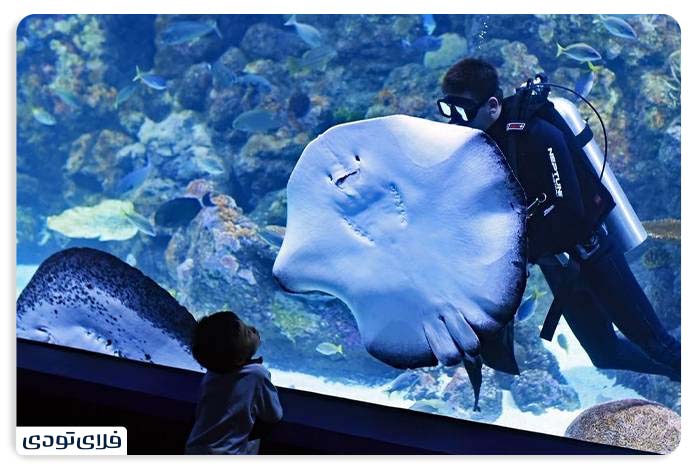 Different parts of Istanbul Floria Aquarium