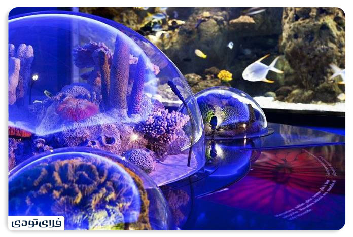 How much is the Istanbul Aquarium ticket price?