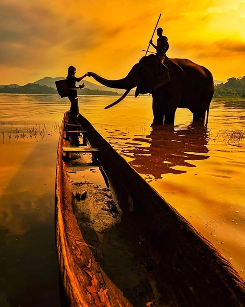 Elephant and boat in Indian sunset
