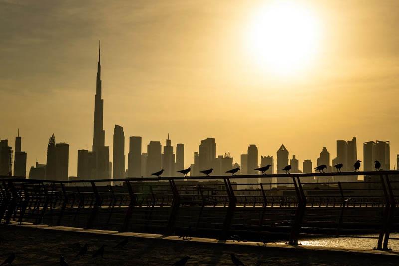 Morning view of <a href=