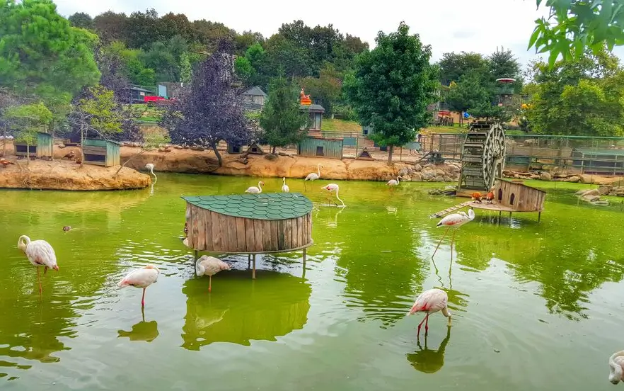 Polonzkoy village in Istanbul