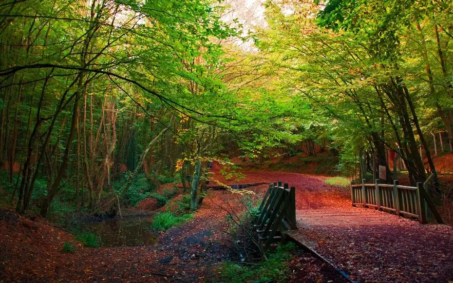 Polonzkoy village in Istanbul