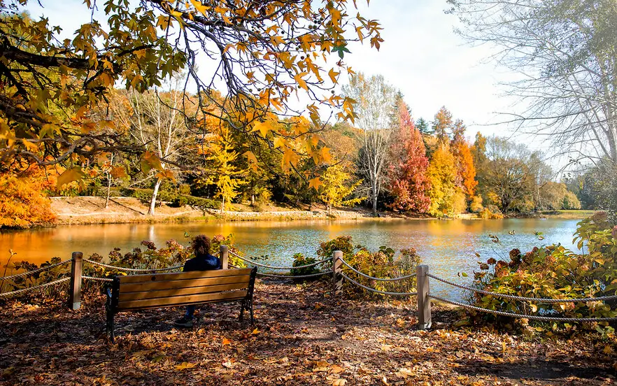 Discover the sights of Istanbul in the season of colors