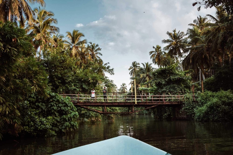 The tropical nature of Ngombo in Sri Lanka; Photo source: reisjunk.nl. Photographer: Unknown