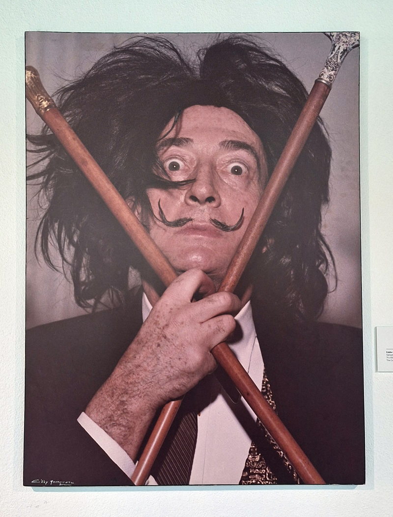 Portrait of Salvador Dali