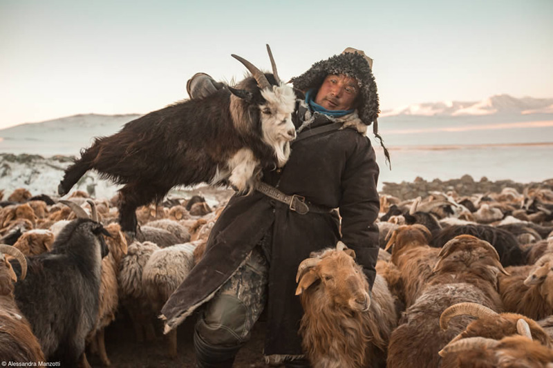Mongolian shepherd man