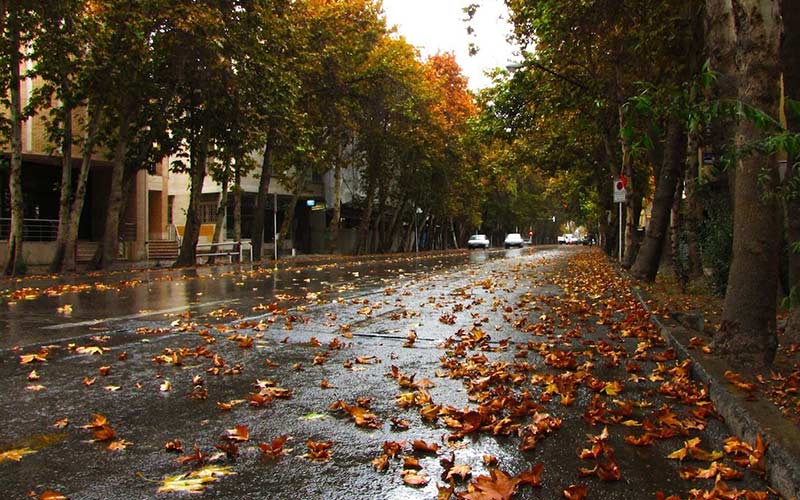 Valiasr Street in autumn, photo source: Google Map, photographer: Manok Paniri 