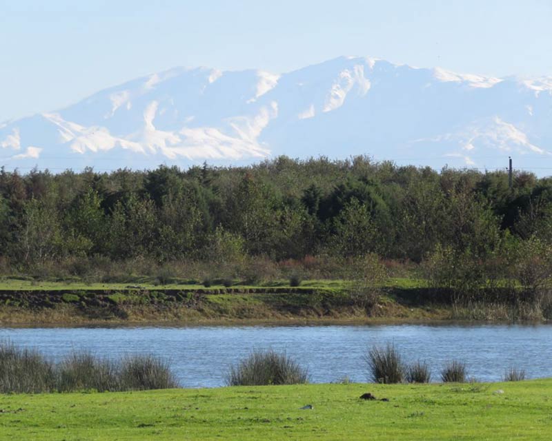 A report of a green and blue experience at Dense Gilaria Hotel