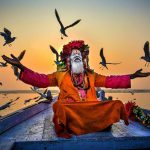 Indian man with pigeons among the bark