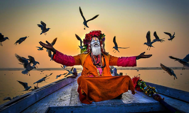 Indian man with pigeons among the bark