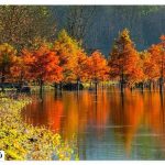 Where is Ellandan Lake?