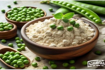 Vegetable protein powder