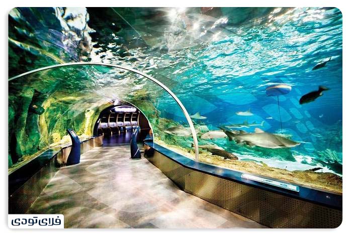 Istanbul Aquarium
