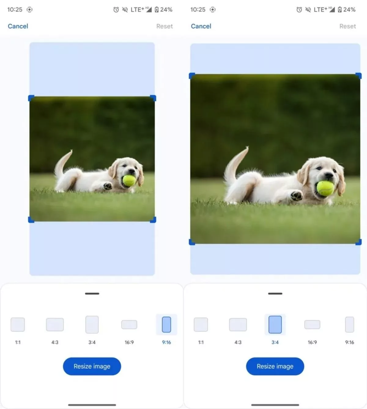 Gemina's new features for editing images