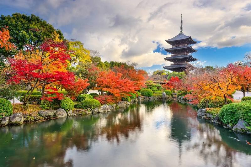 A temple in Kyoto, Japan in autumn; Photo source: website bt.traveldepartment.co.uk. Photographer: Unknown