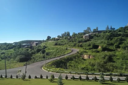 Valley of flowers in Armenia