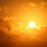 Video/ The cycle of solar activity reached its peak