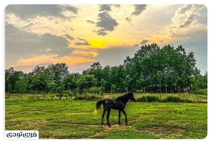 Where is Astana Ashrafieh?