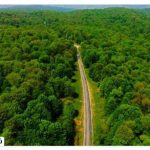 Where is Gisum forest?