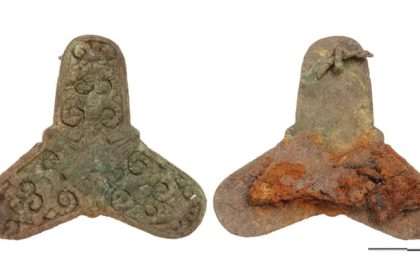 The discovery of Viking skeletons in Denmark