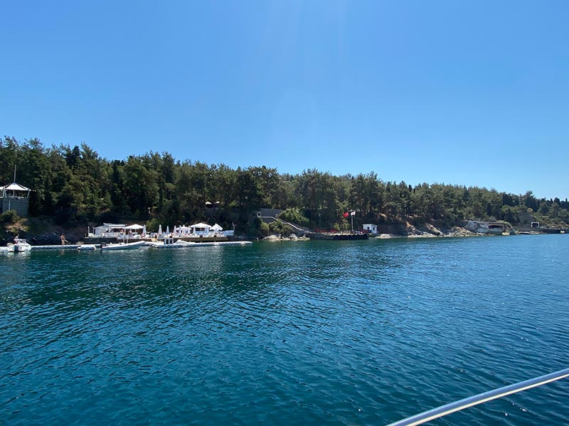 The green beach of olive oysters; Photo source: Google Map; Photographer: Yorgo Teodoridis