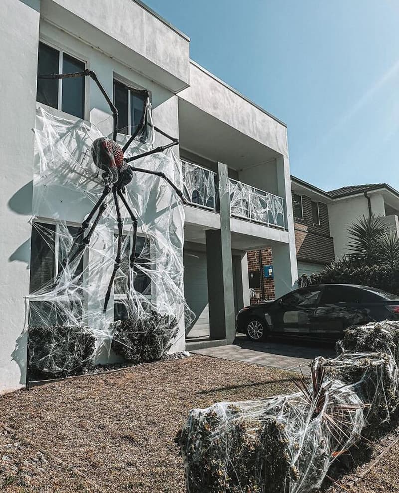 Halloween giant spider on the wall of the house
