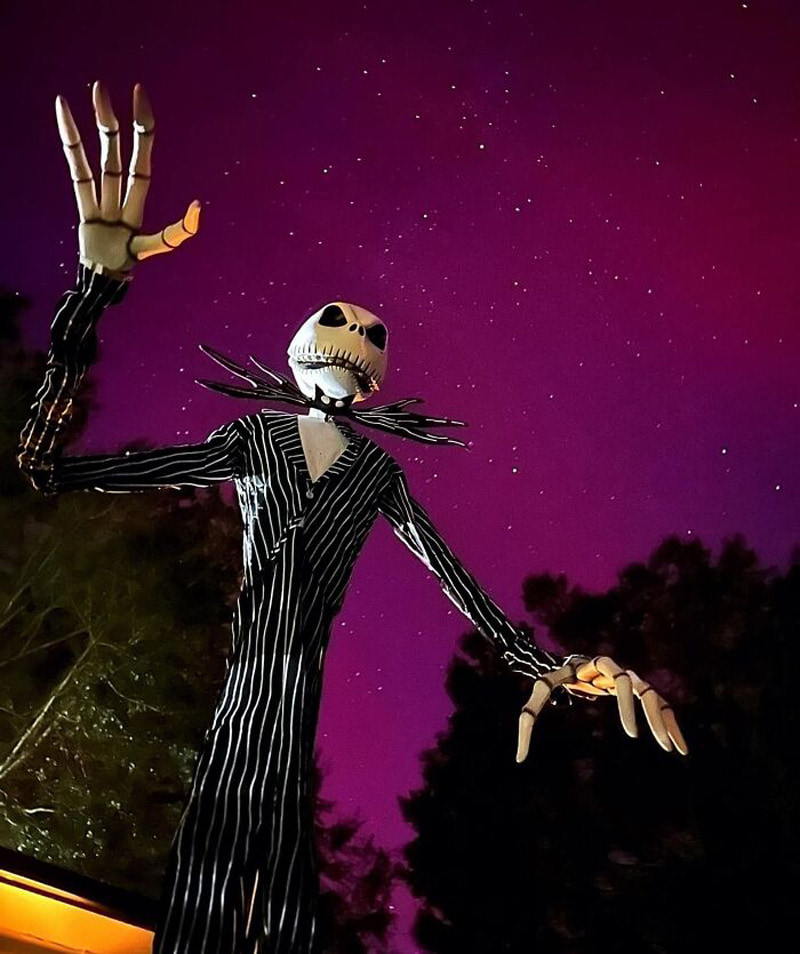 Halloween tall skeleton