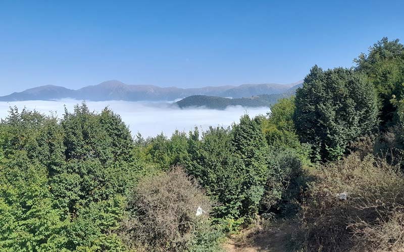 Ocean of clouds in Tuskistan forest, photo source: Google Map, photographer: Mohsen Fanoudi