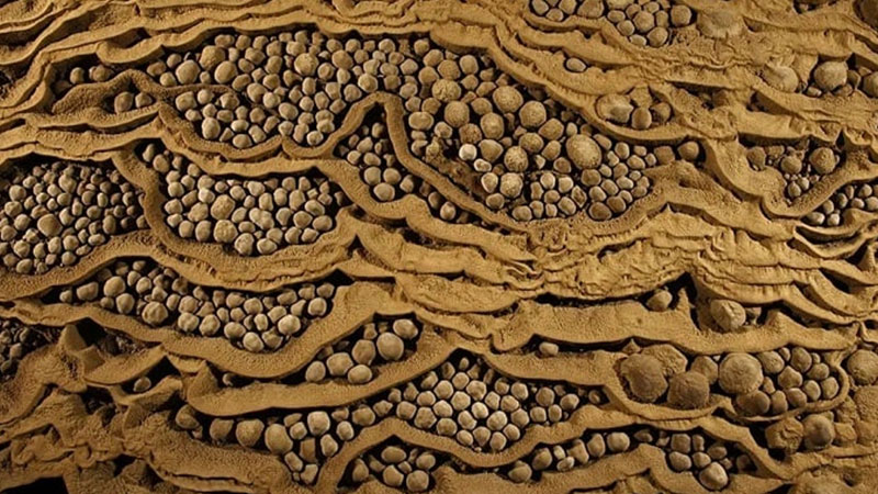 5 natural wonders in Son Dong cave that you must see