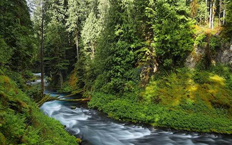 Mackenzie River, photo source: oregonisforadventure, photographer: unknown