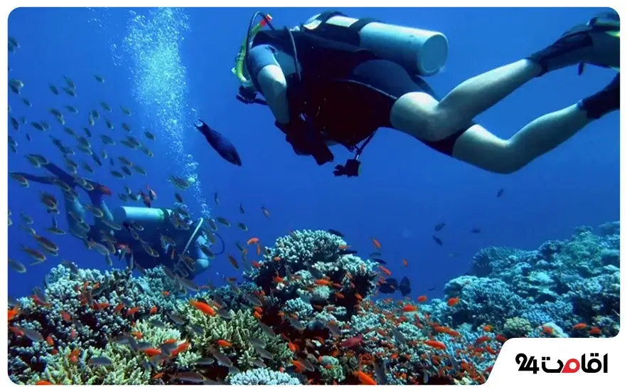 Dubai diving or Deep Dive Dubai