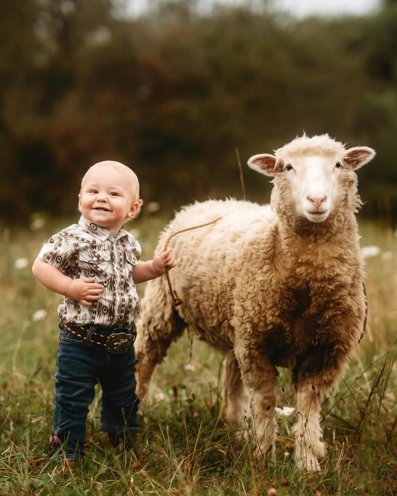 A boy next to a sheep