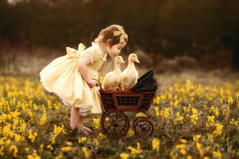 Little girl and ducklings