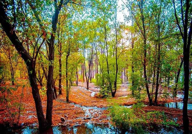 Chitgar Park in autumn. Photo source: Google Map, photographer: Alireza Tehrani