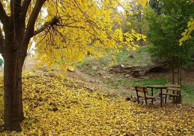 Sorehe Hesar Park in autumn. Photo source: Google Map, photographer: Ali Kashani Zadeh