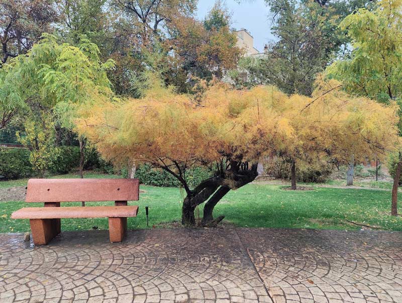 Qaitariya Park in autumn; Photo source: Google Map; Photographer: Arash Mahmoudi