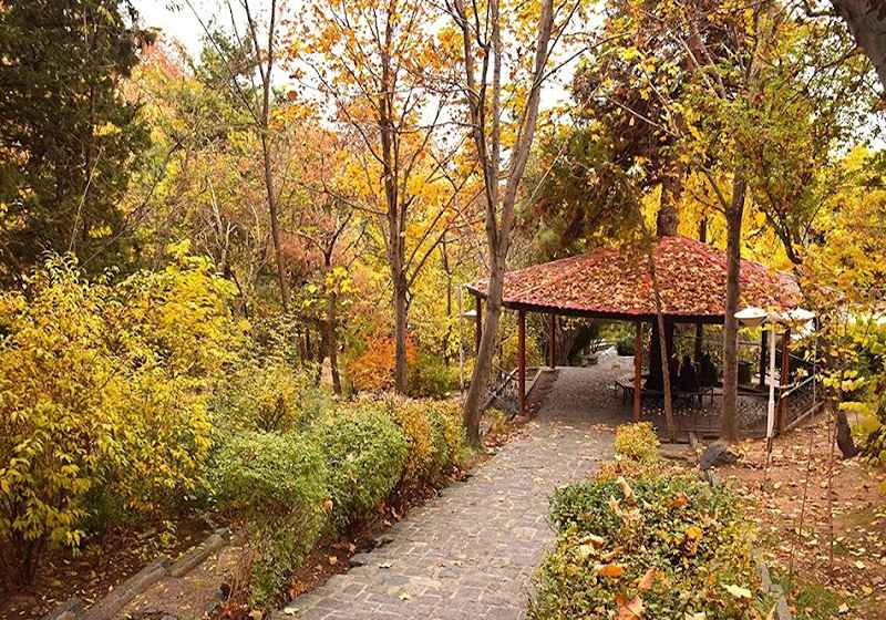 Jamshidiye Park in autumn. Photo source: Google Map, photographer: Mohamamd Mohammadi