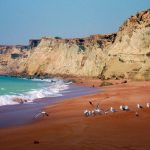Seashore and seagulls