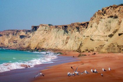Seashore and seagulls