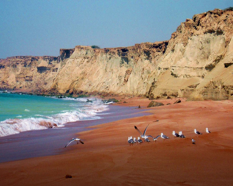 Seashore and seagulls