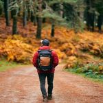 Natural beauty in autumn