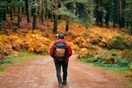 Natural beauty in autumn